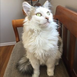 Meet your Posher, Lindsay